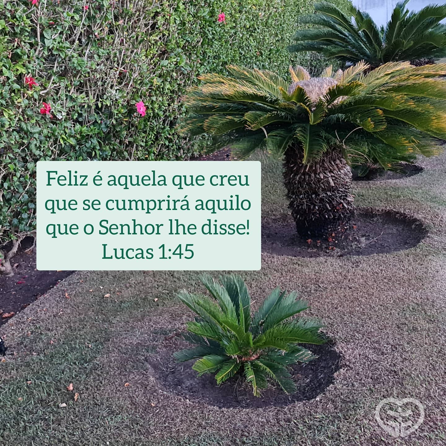 Lucas 1:45
