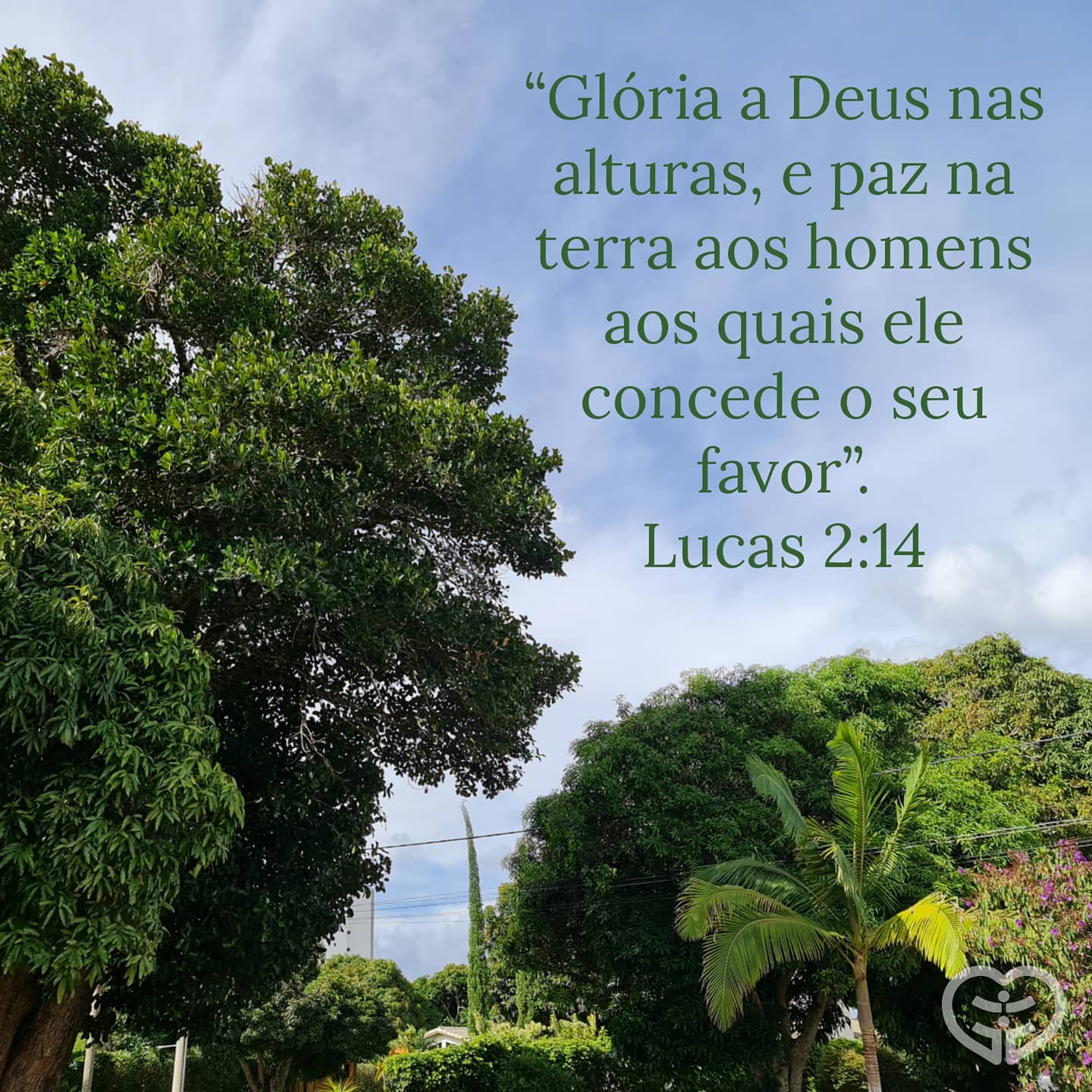 Lucas 2:14