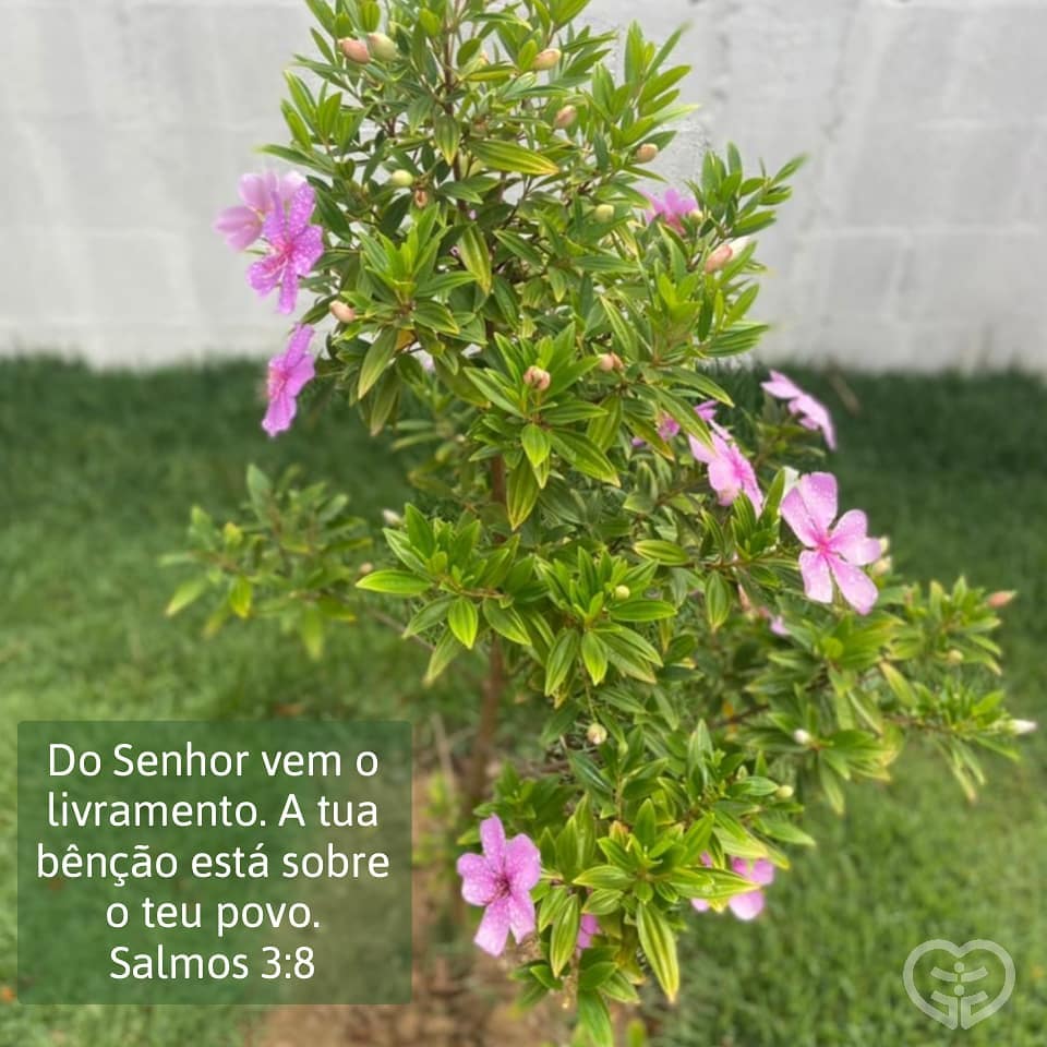 Salmos 3:8