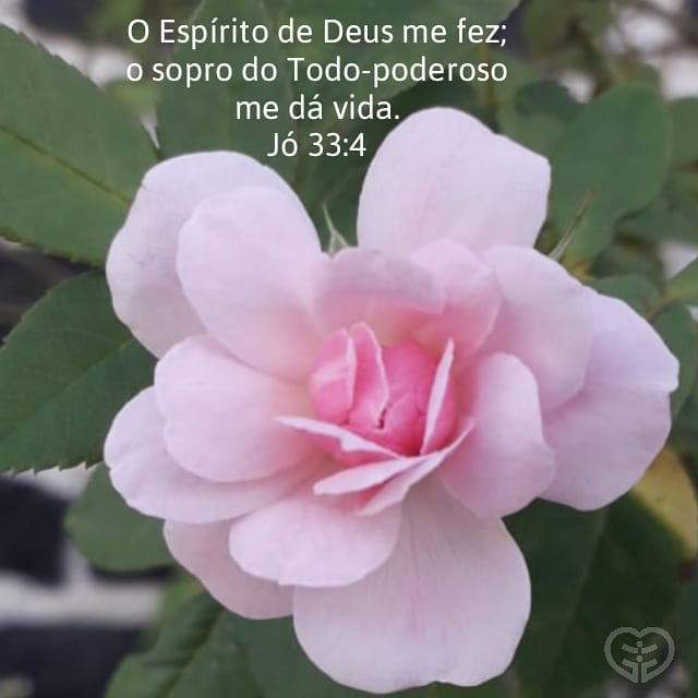 Jó 33:4
