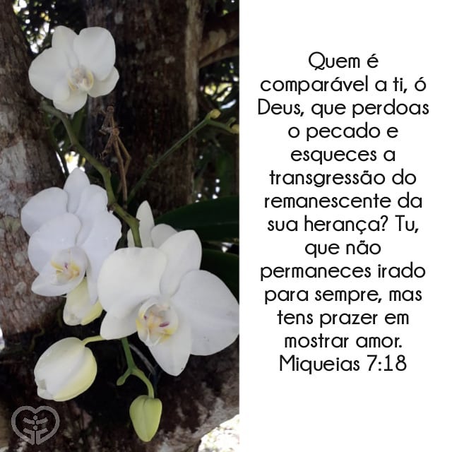 Miqueias 7:18