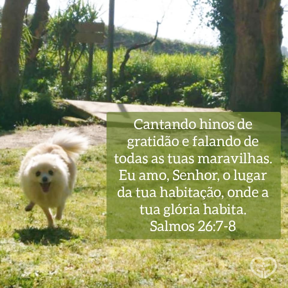 Salmos 26:7-8