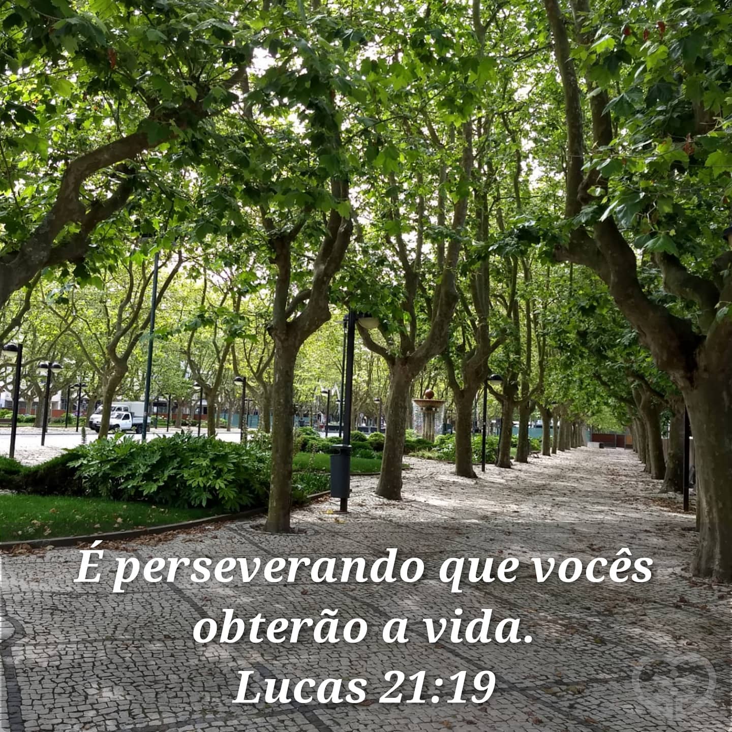 Lucas 21:19