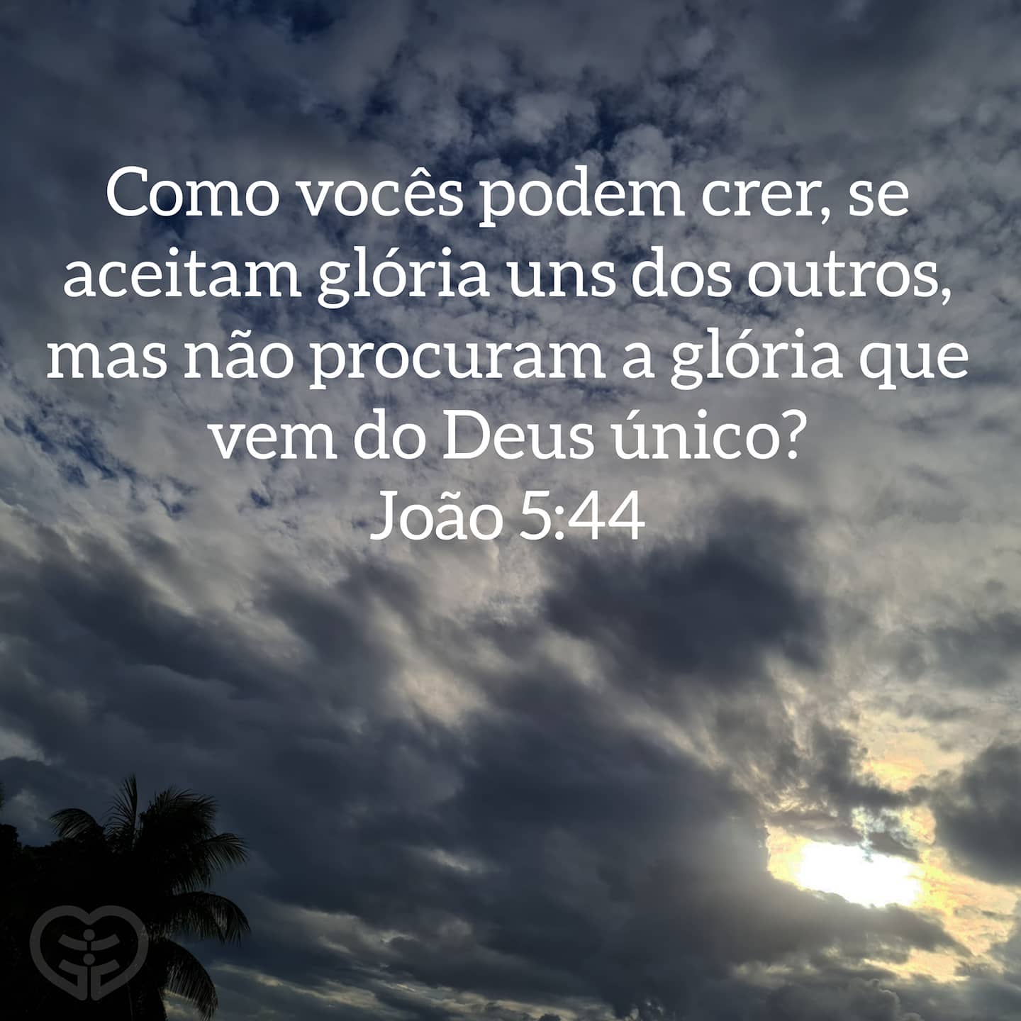João 5:44
