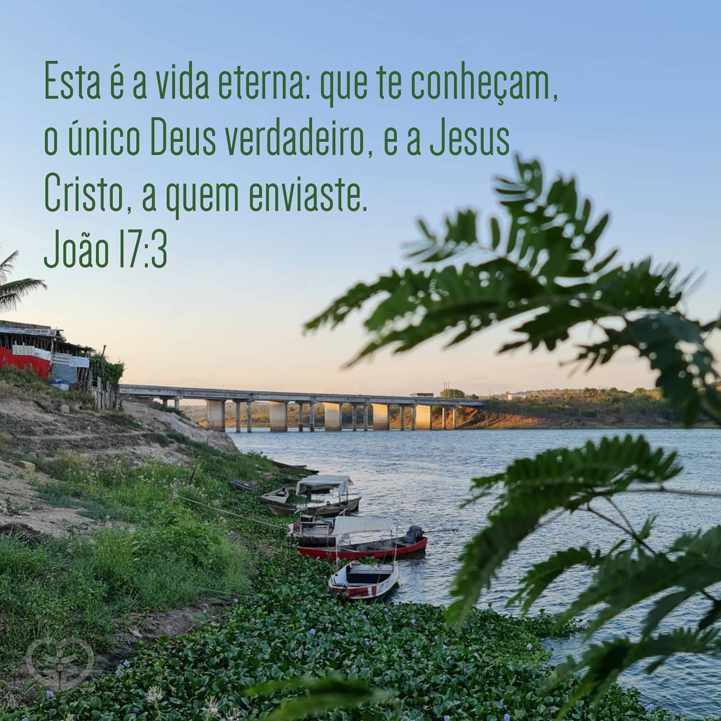 João 17:3