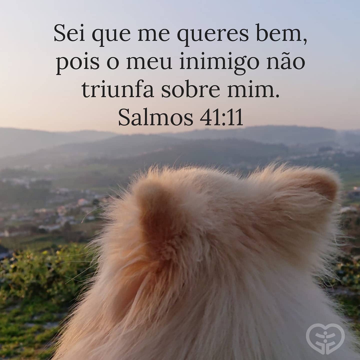 Salmos 41:11