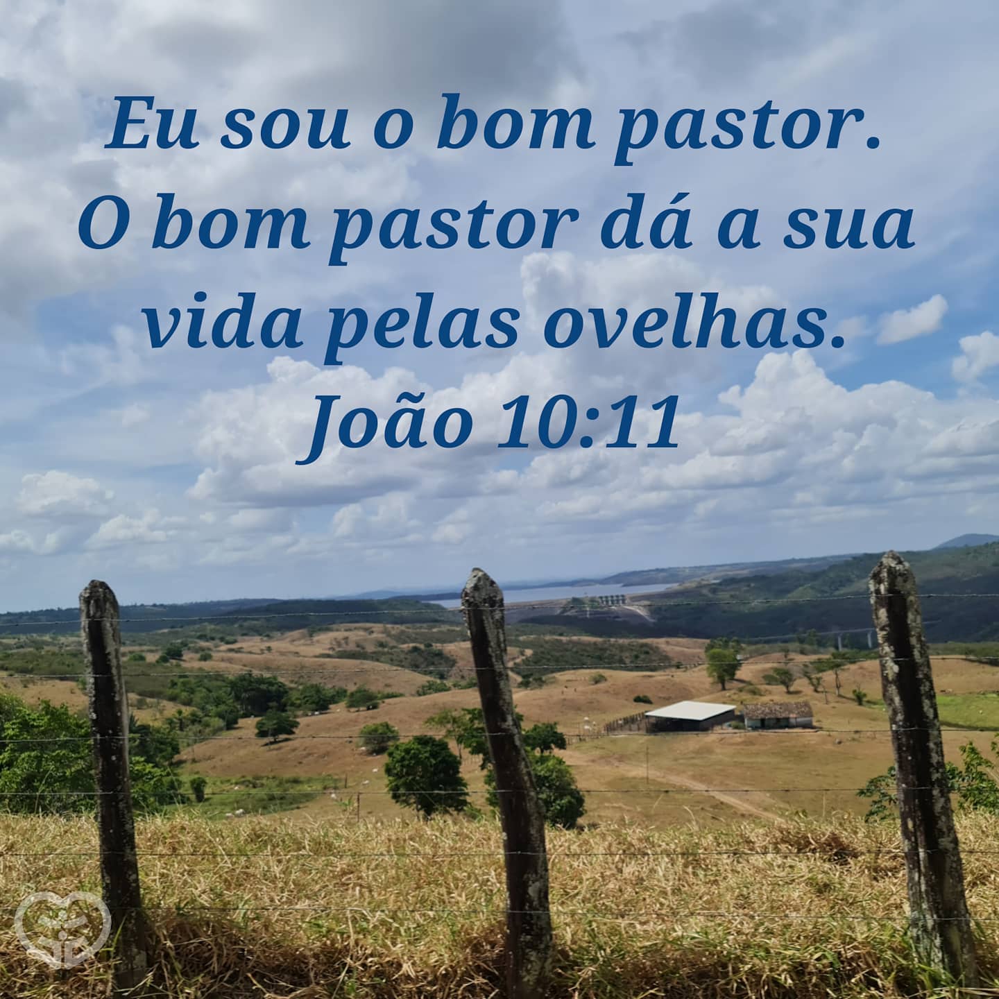 João 10:11