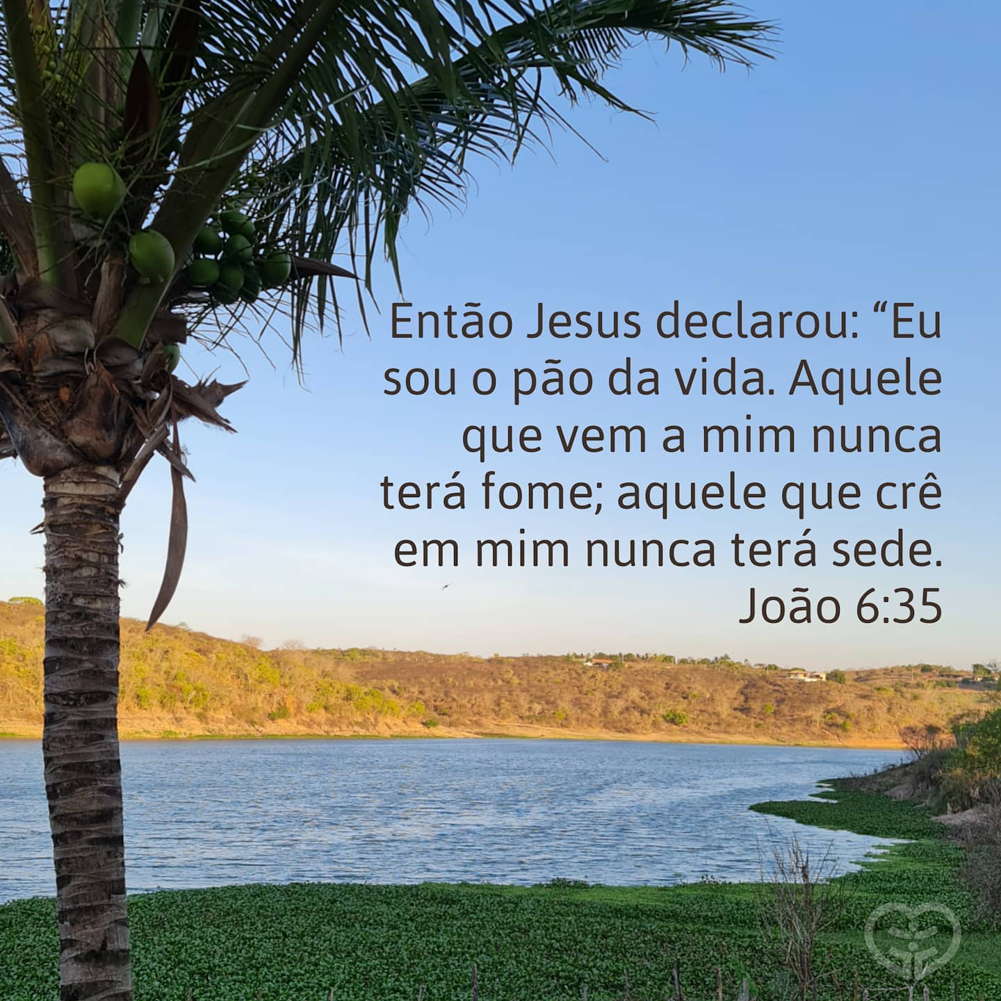 João 6:35