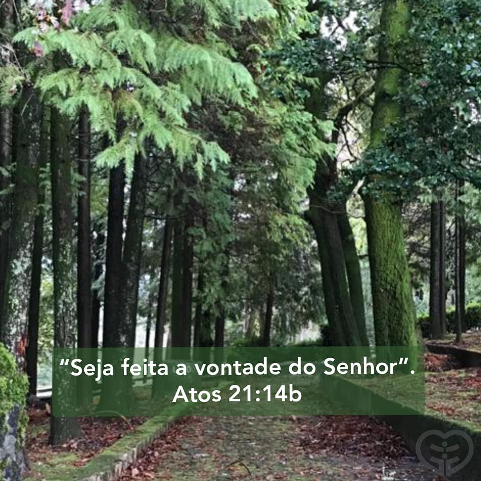 Palavra para 18 de junho de 2021