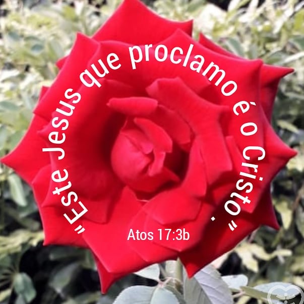 Palavra para 15 de junho de 2021