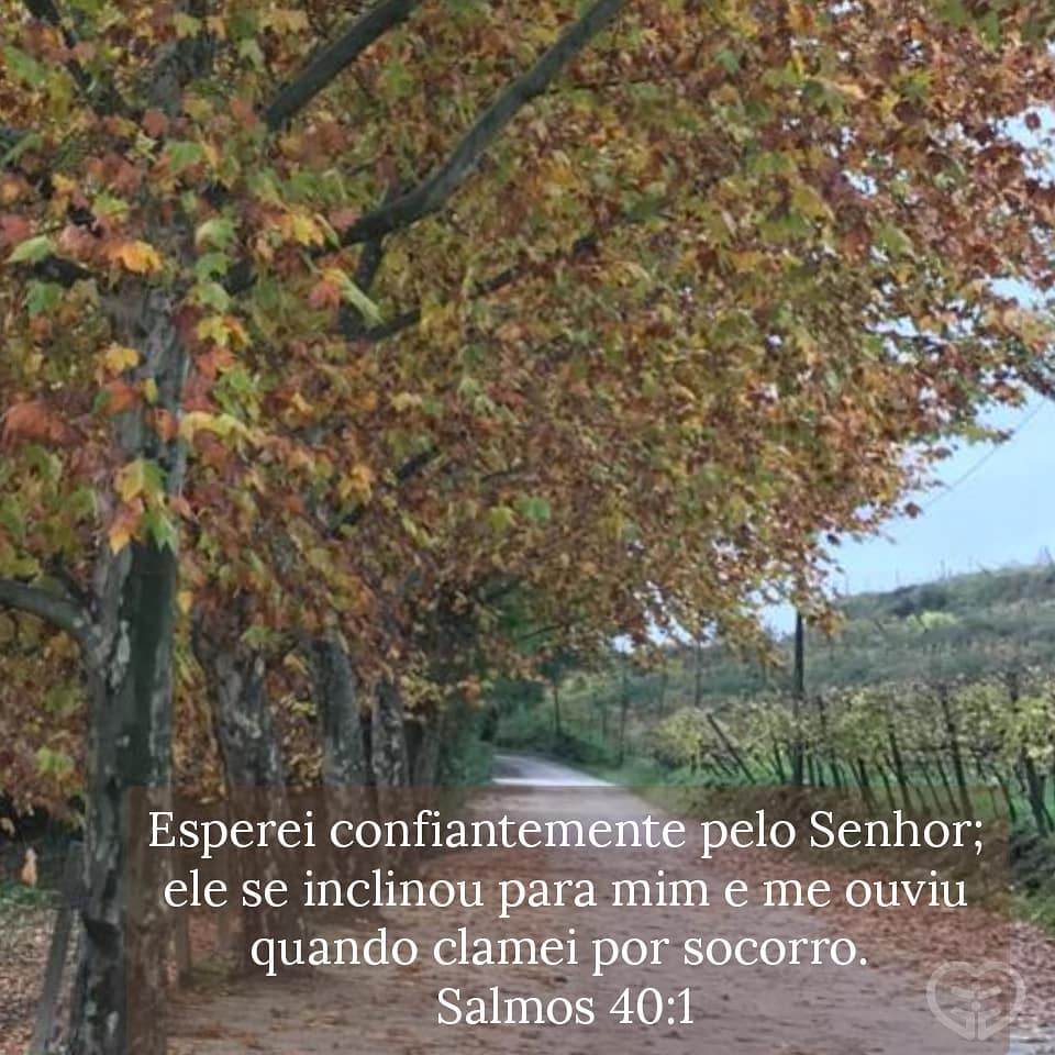 Salmos 40:1