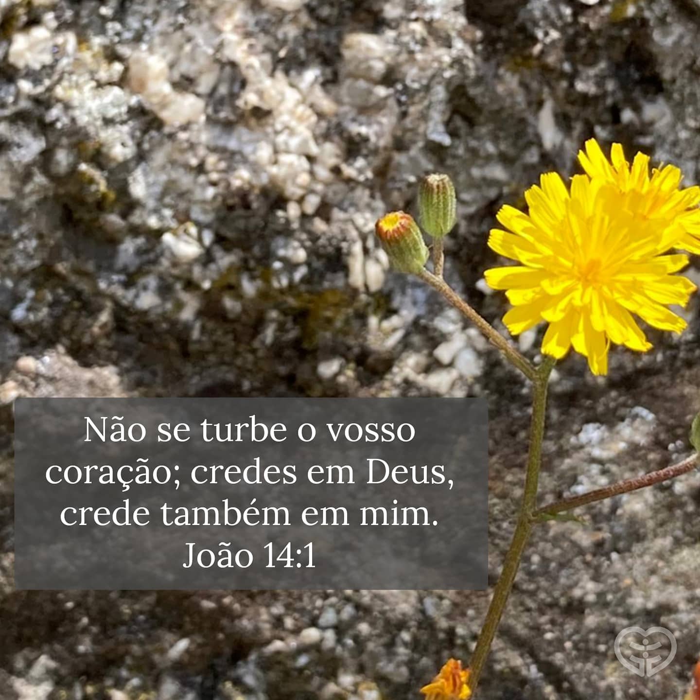 João 14:1