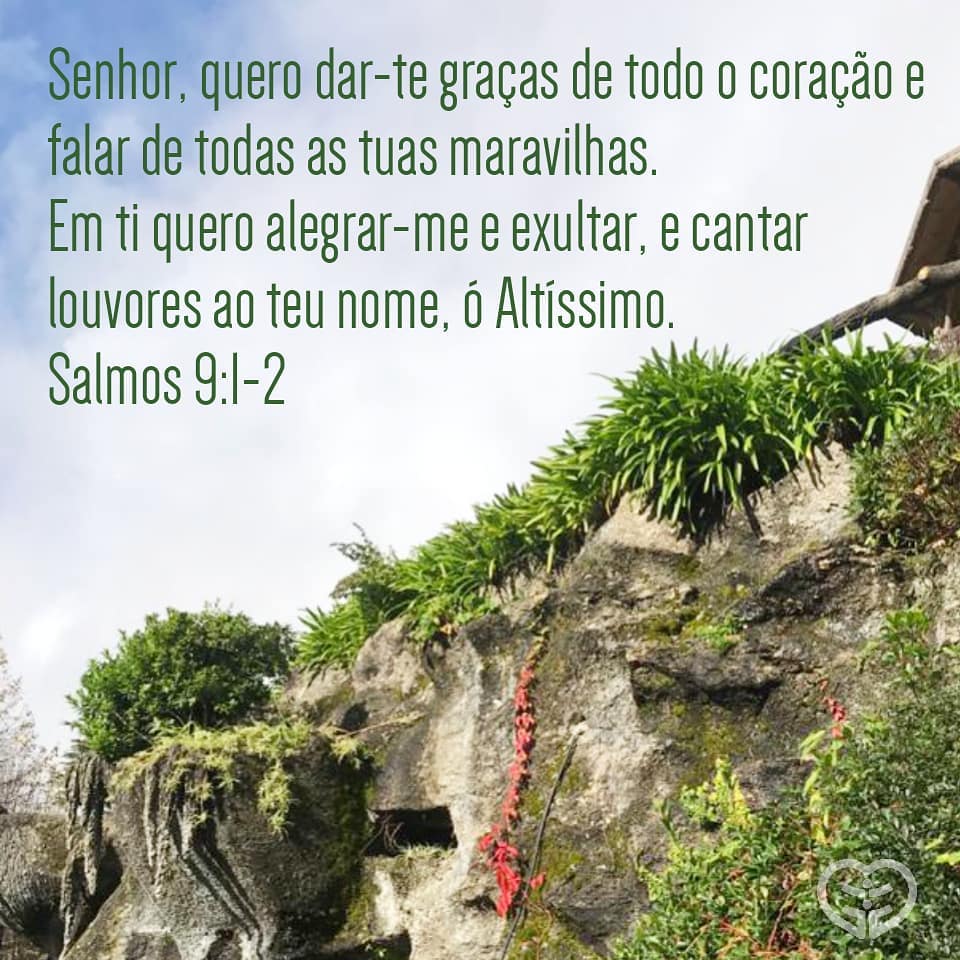 Salmos 9:1-2