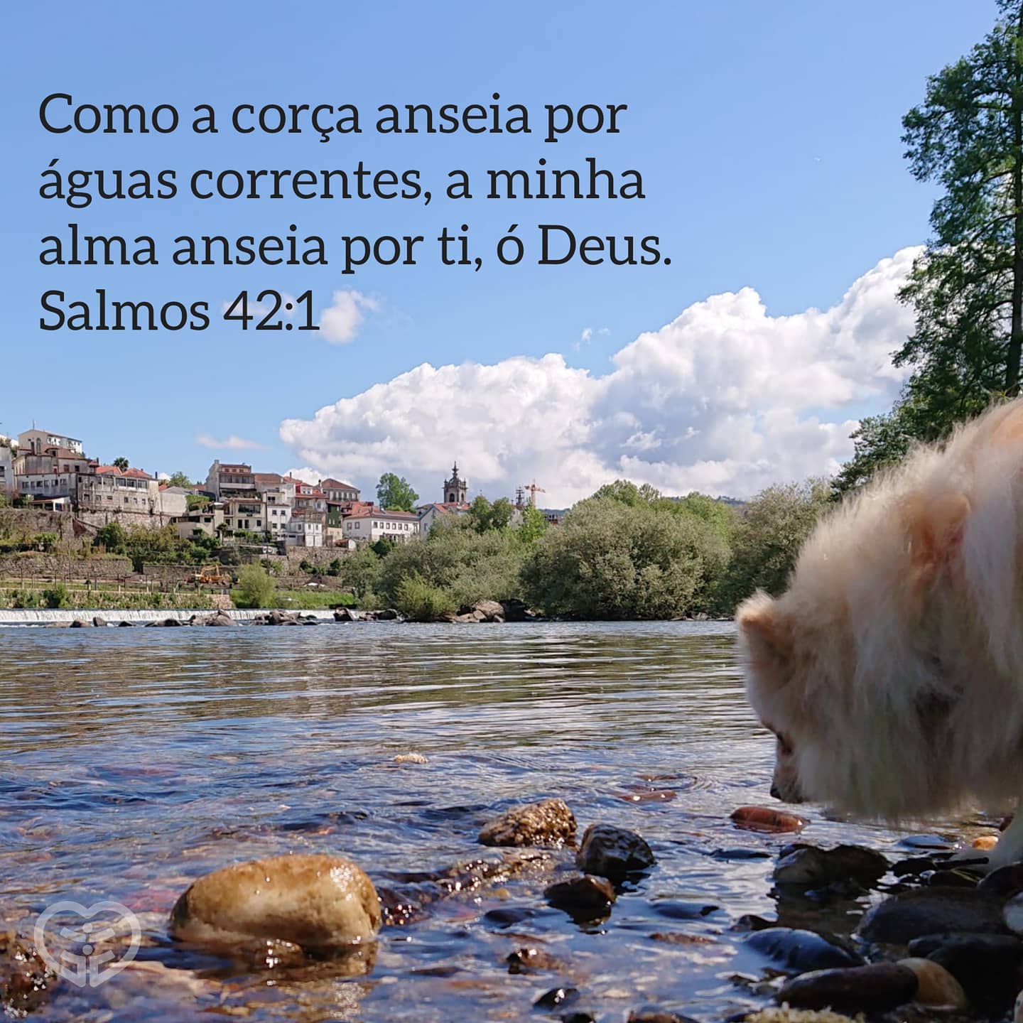 Salmos 42:1