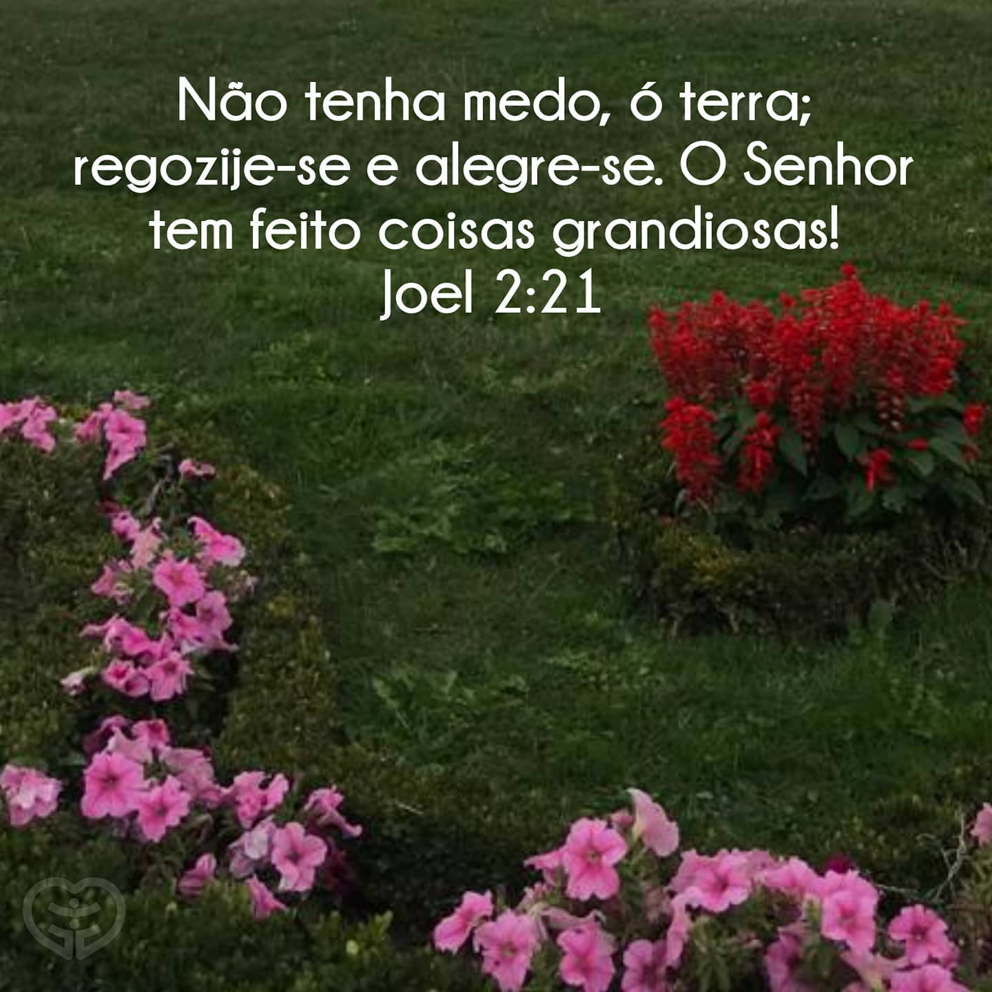 Joel 2:21