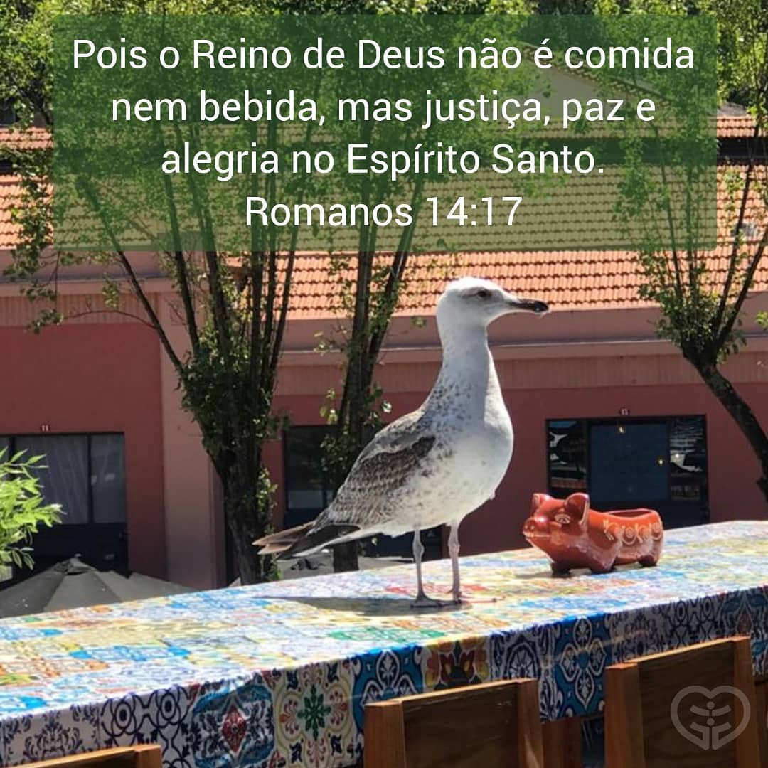 Romanos 14:17