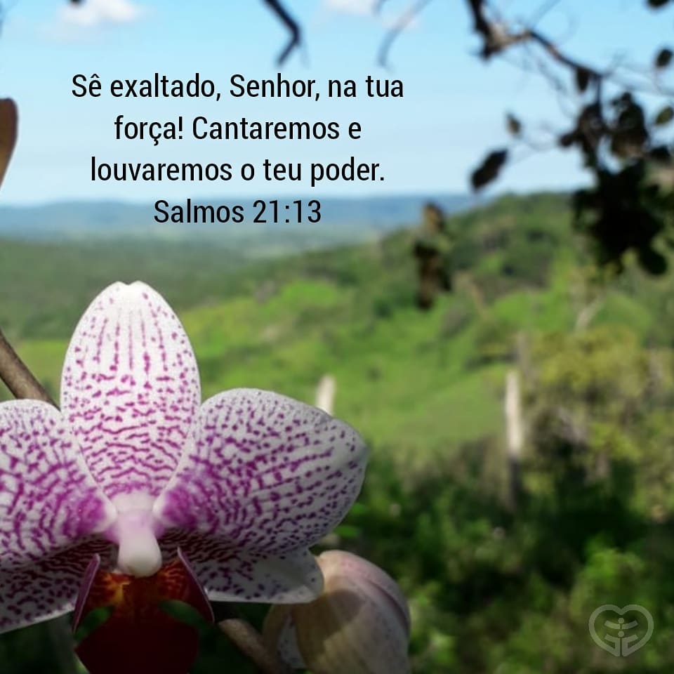 Salmos 21:13