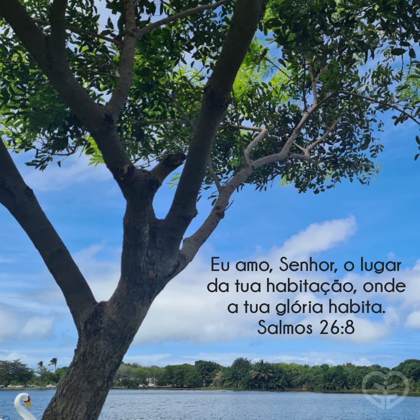 Salmos 26:8