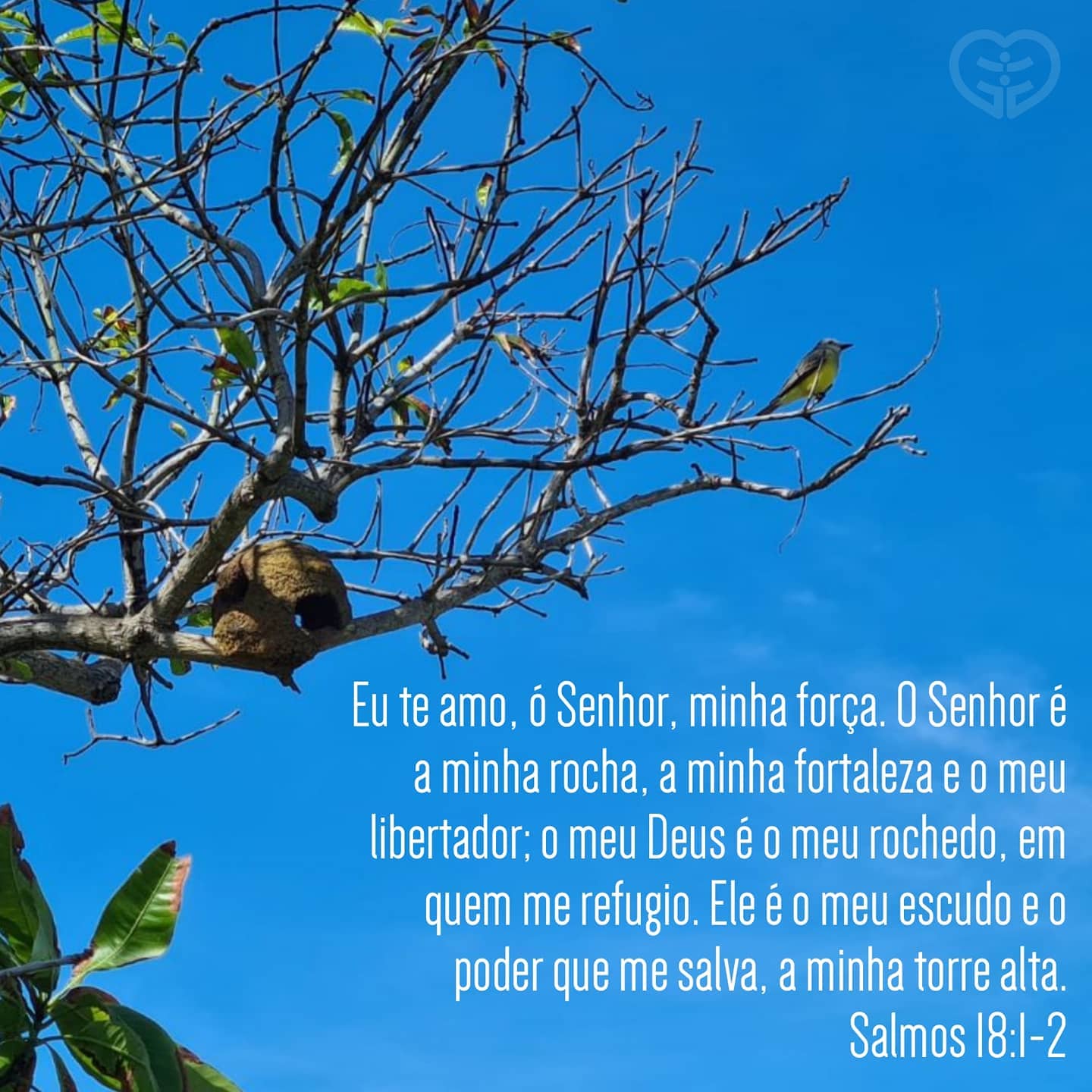Salmos 18:1-2