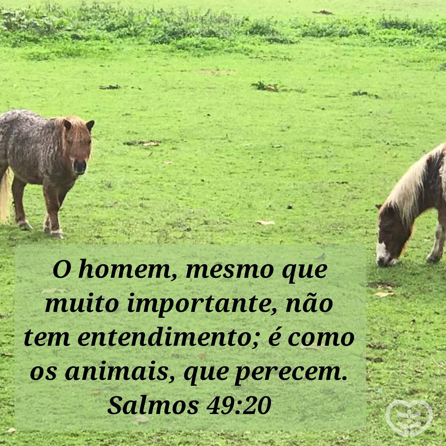 Salmos 49:20