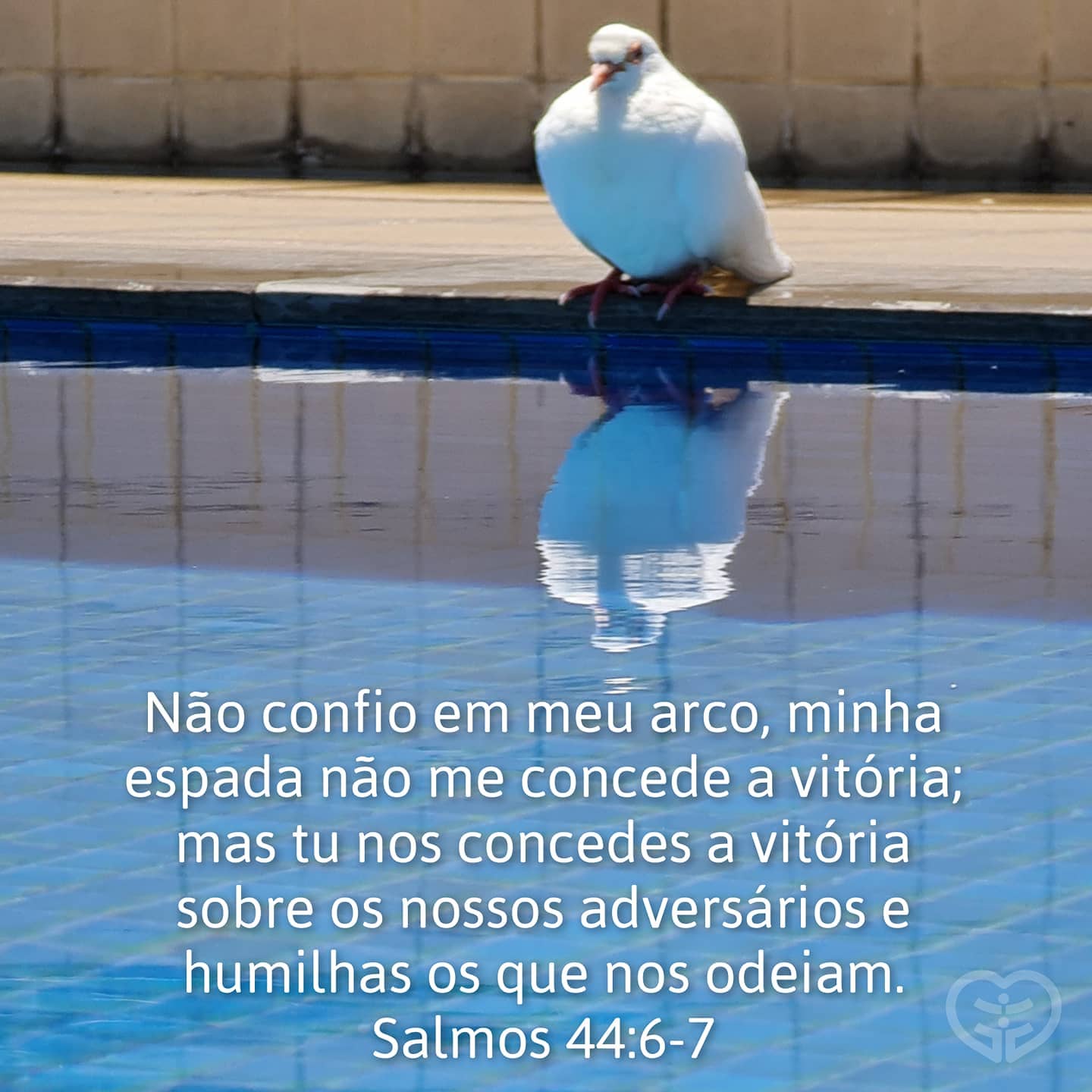 Salmos 44:4-8