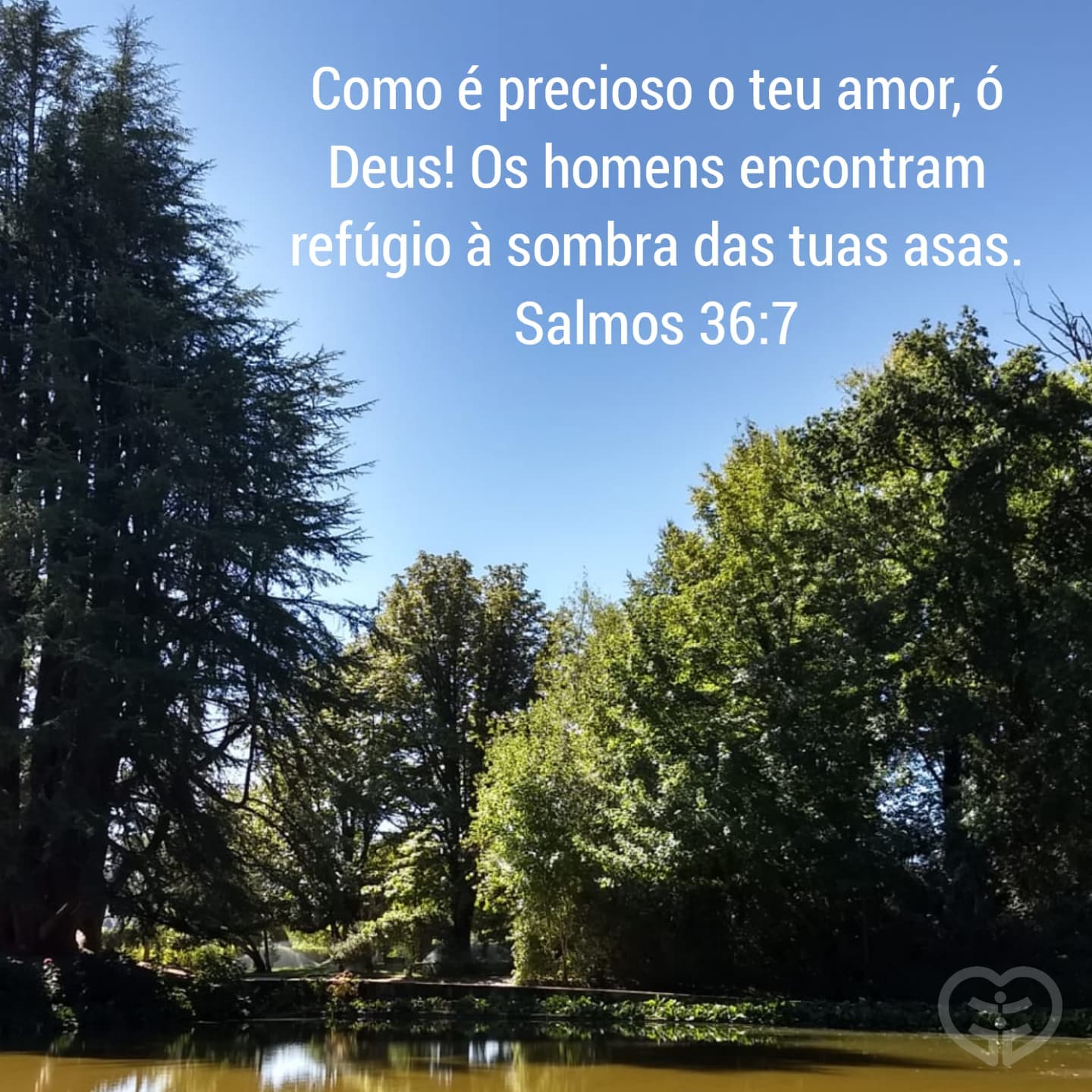 Salmos 36:7