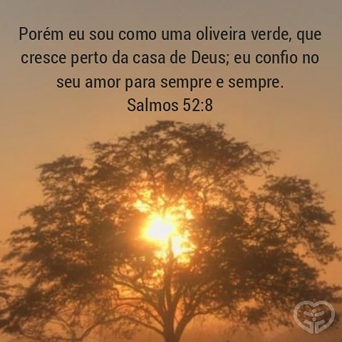 Salmos 52:8