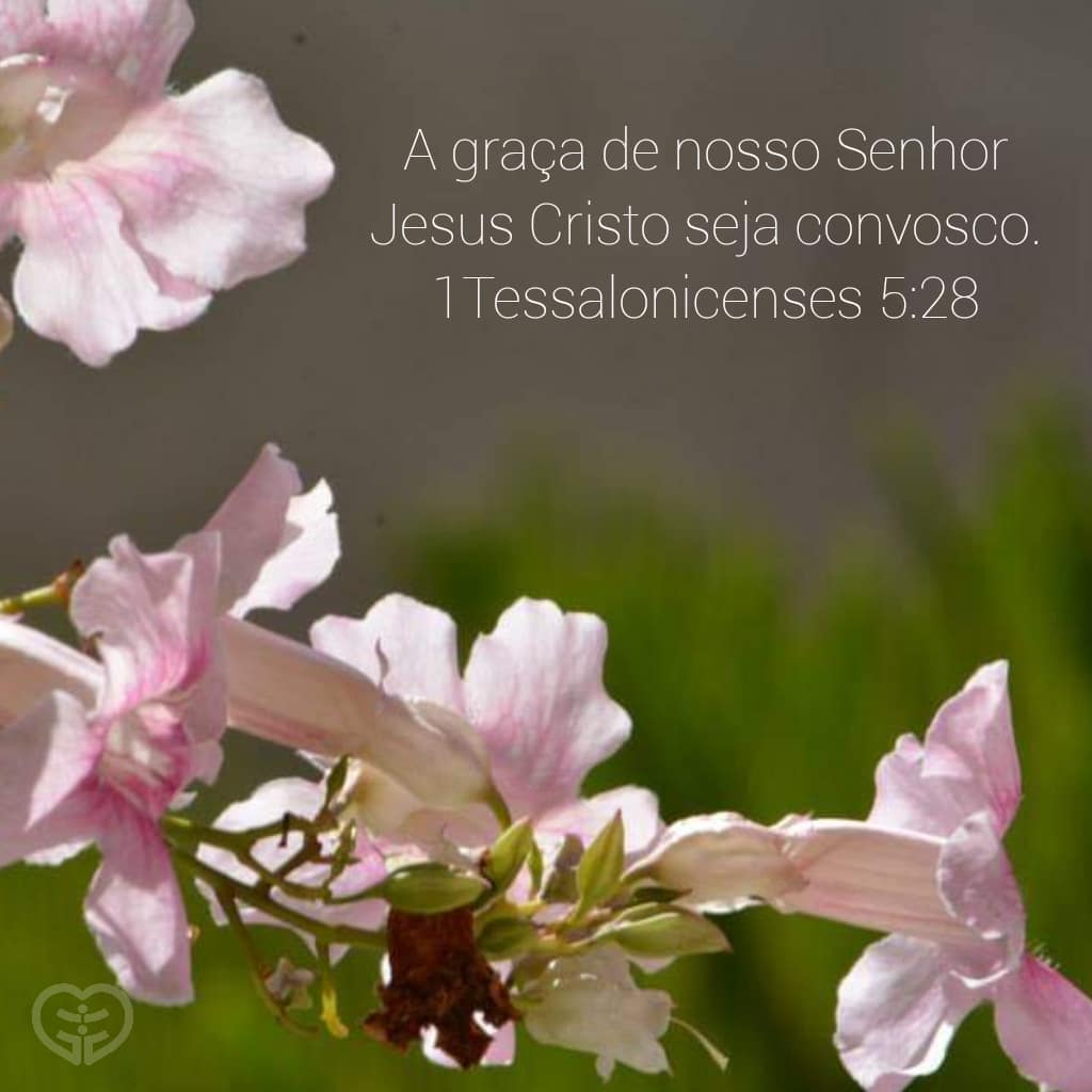 1Tessalonicenses 5:28