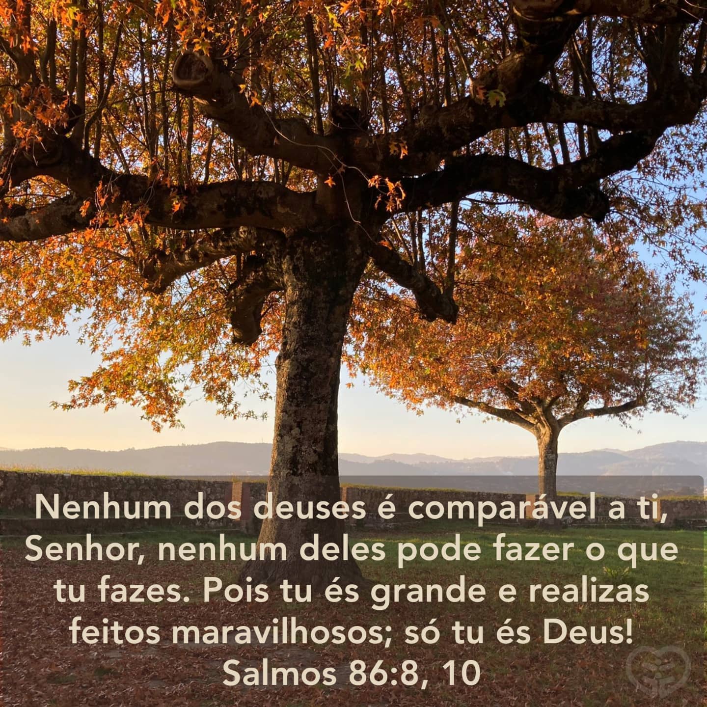 Palavra para 24 de novembro de 2021