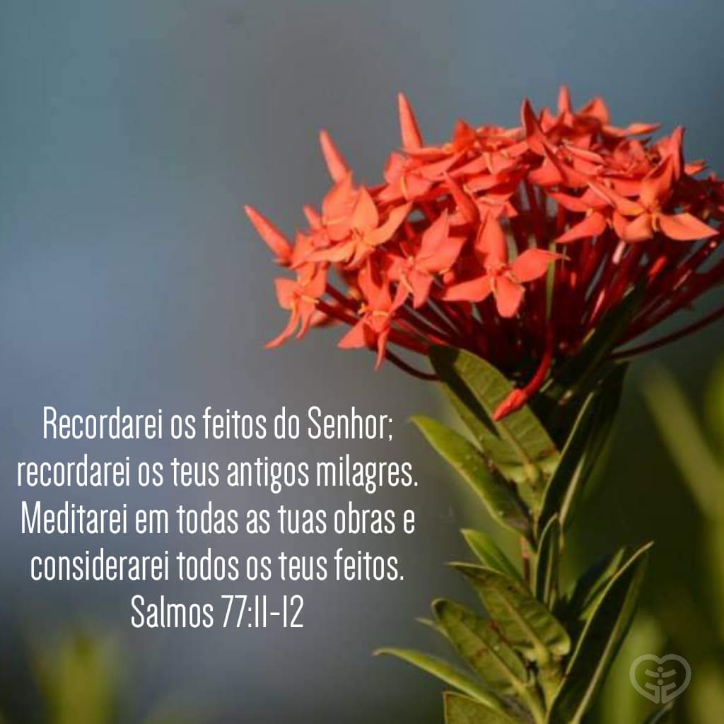 Salmos 77:11-12
