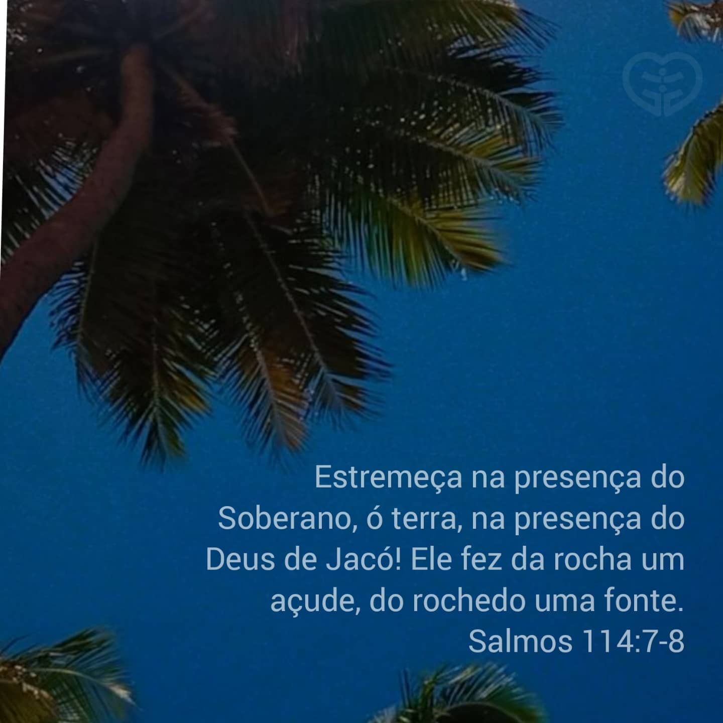 Salmos 114:7-8
