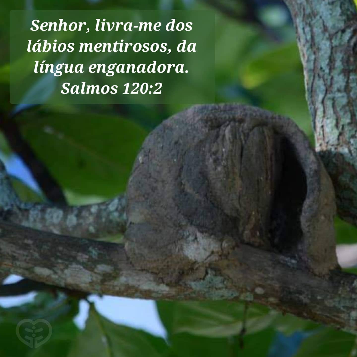 Salmos 120:2