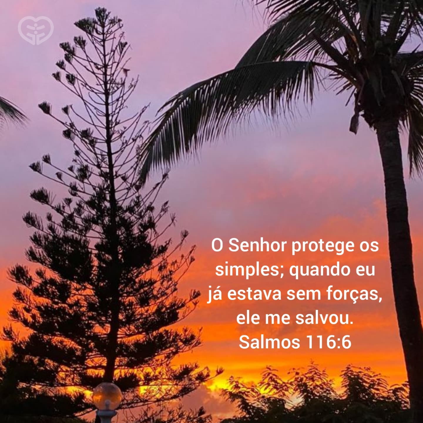 Salmos 116:6