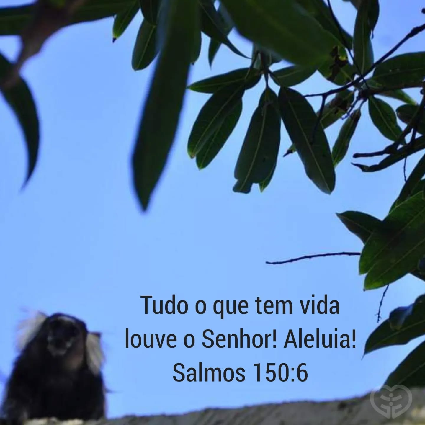 Salmos 150:6