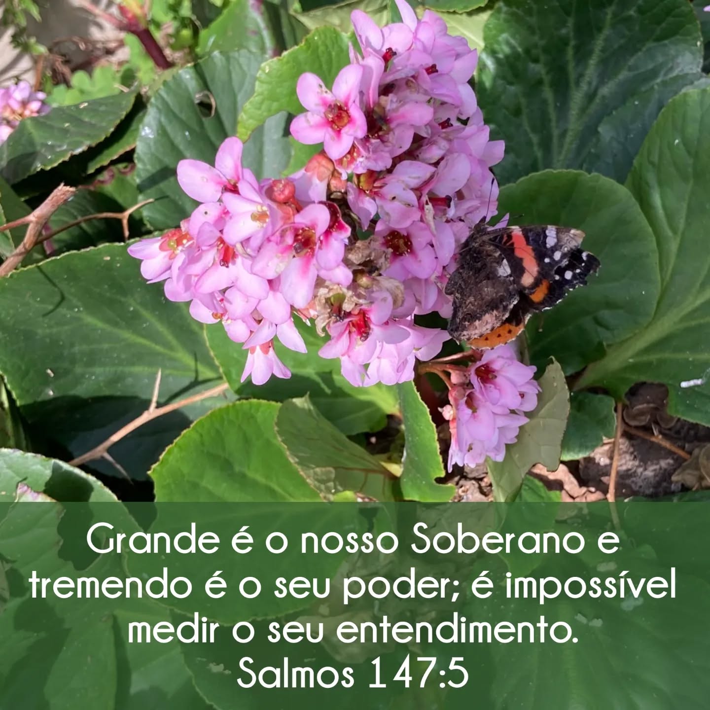 Salmos 147:5