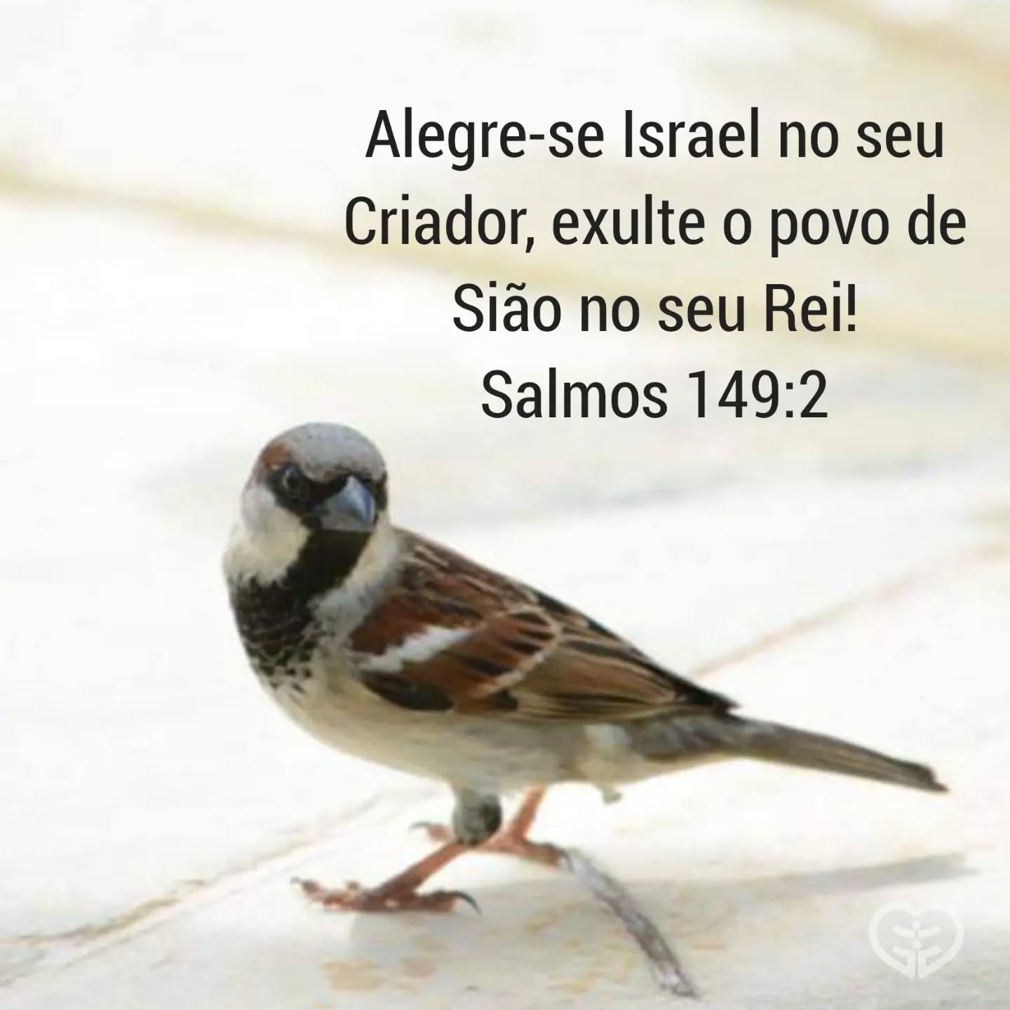 Salmos 149:2