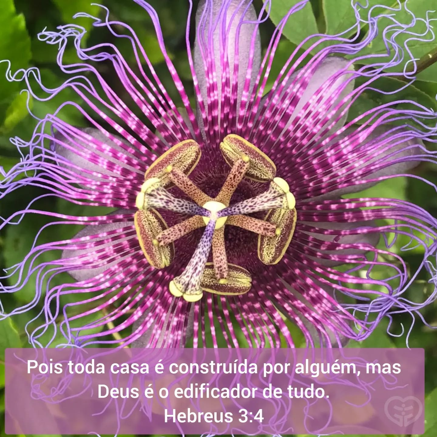 Hebreus 3:4