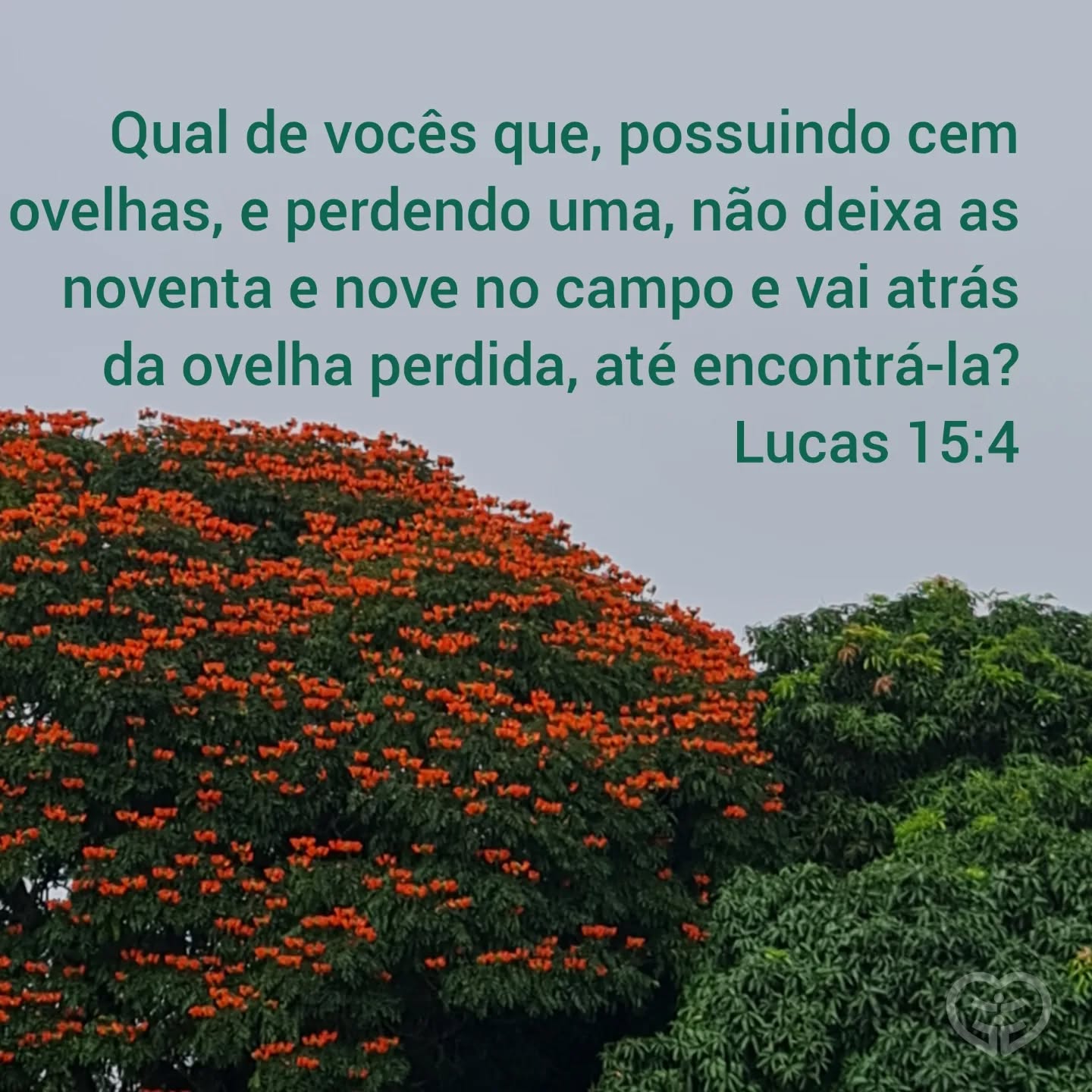 Lucas 15:4