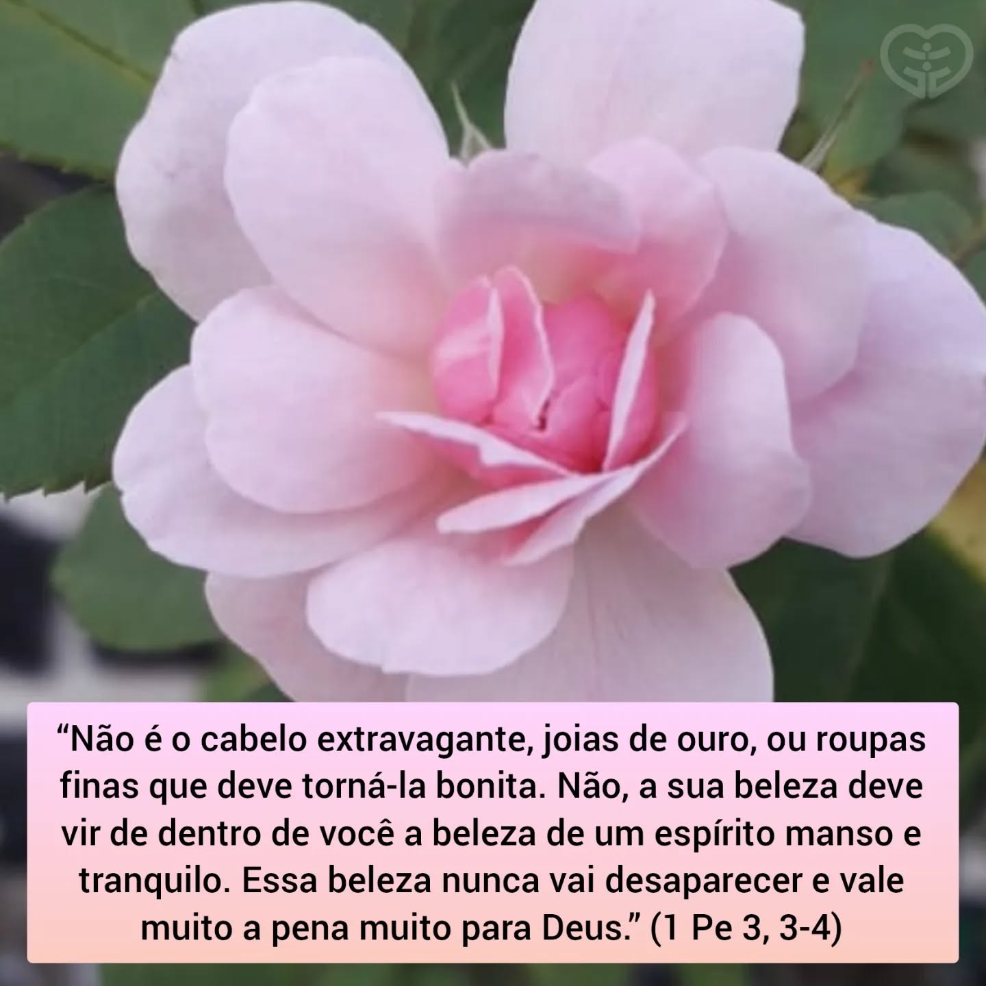 Palavra para 9 de março de 2022