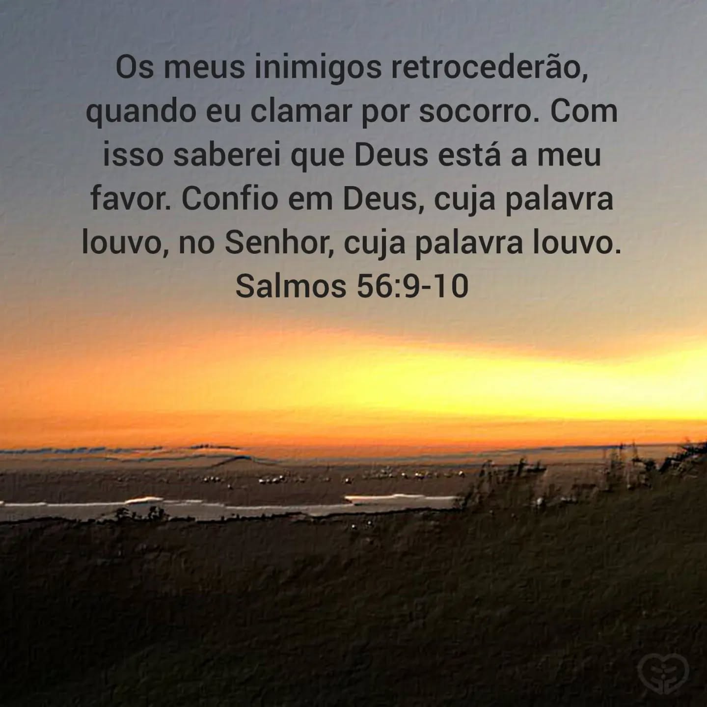 Salmos 56:9-10
