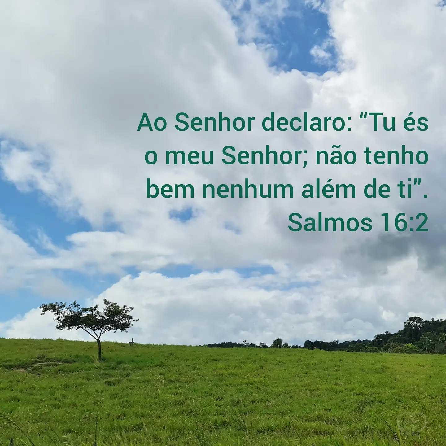 Salmos 16:2