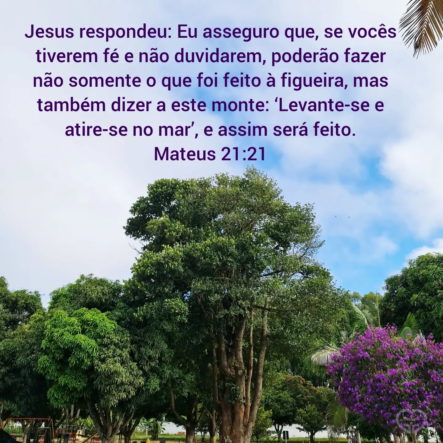 Mateus 21:21