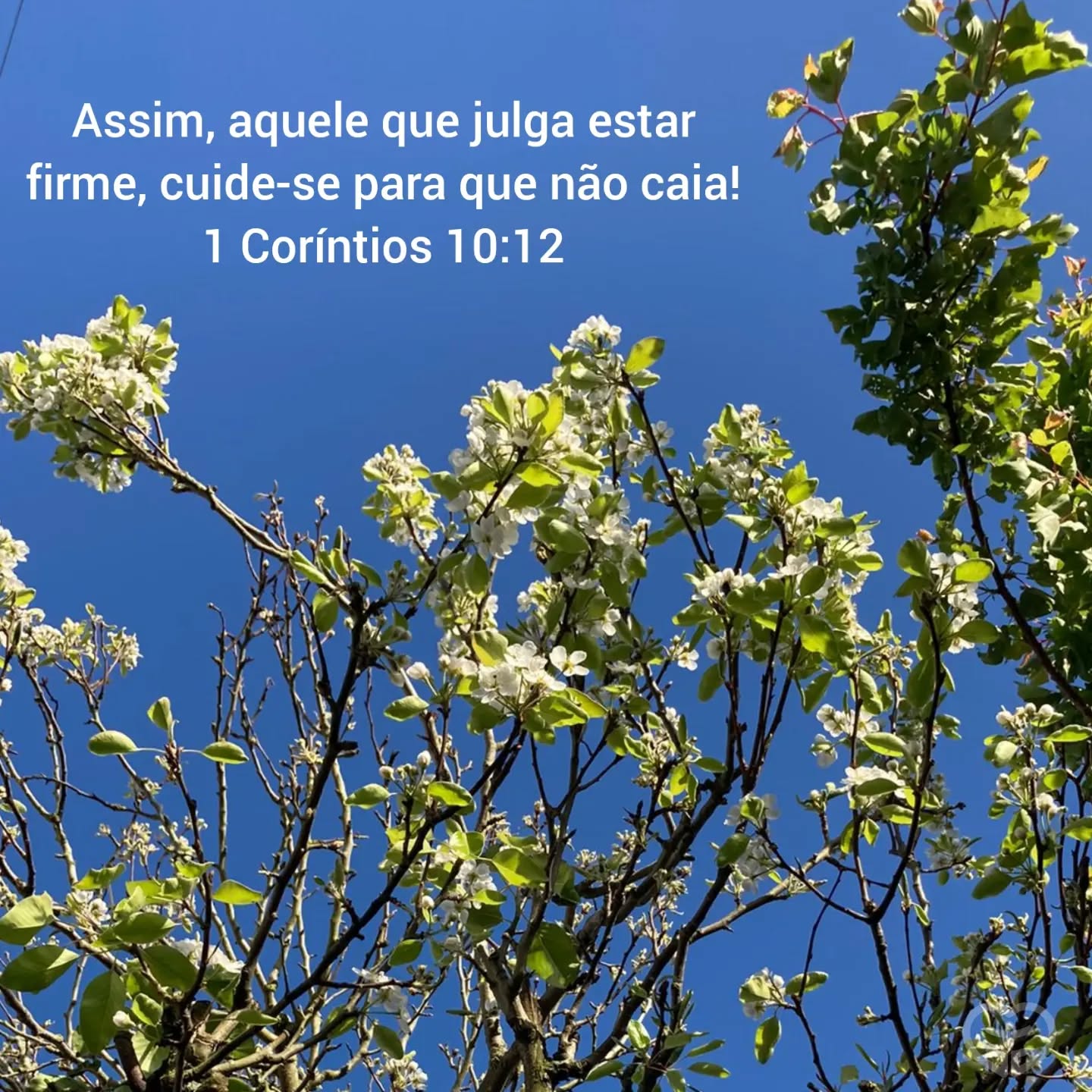 1 Coríntios 10:12