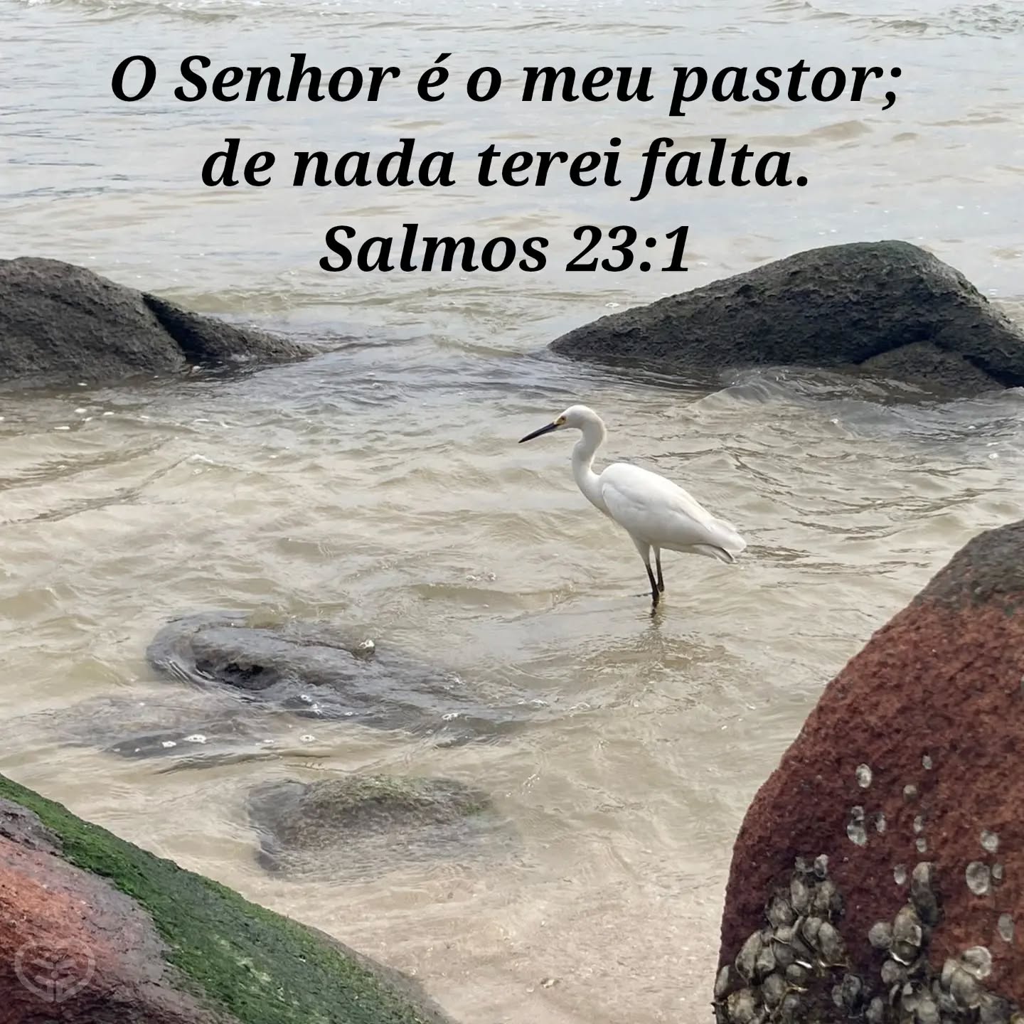 Salmos 23:1