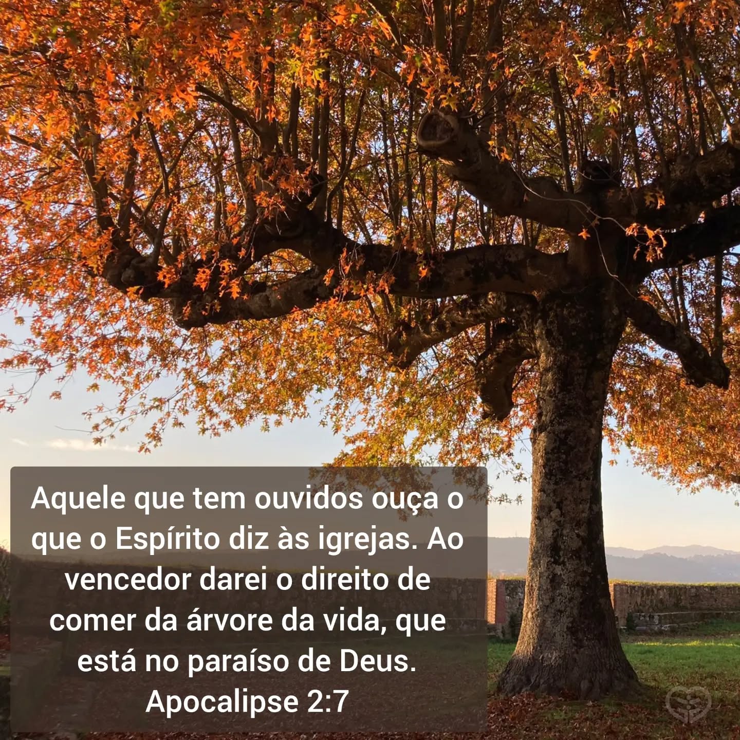 Apocalipse 2:7