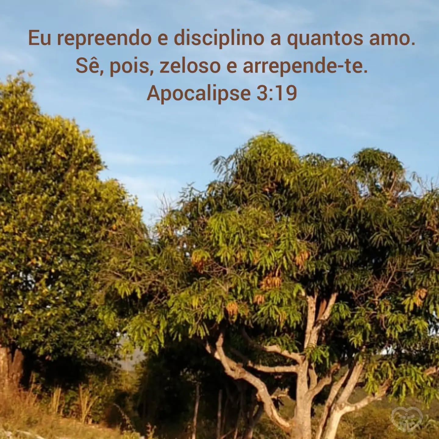 Apocalipse 3:19