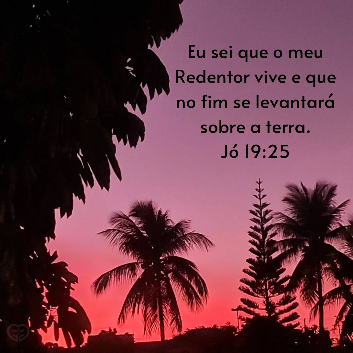 Jó 19:25