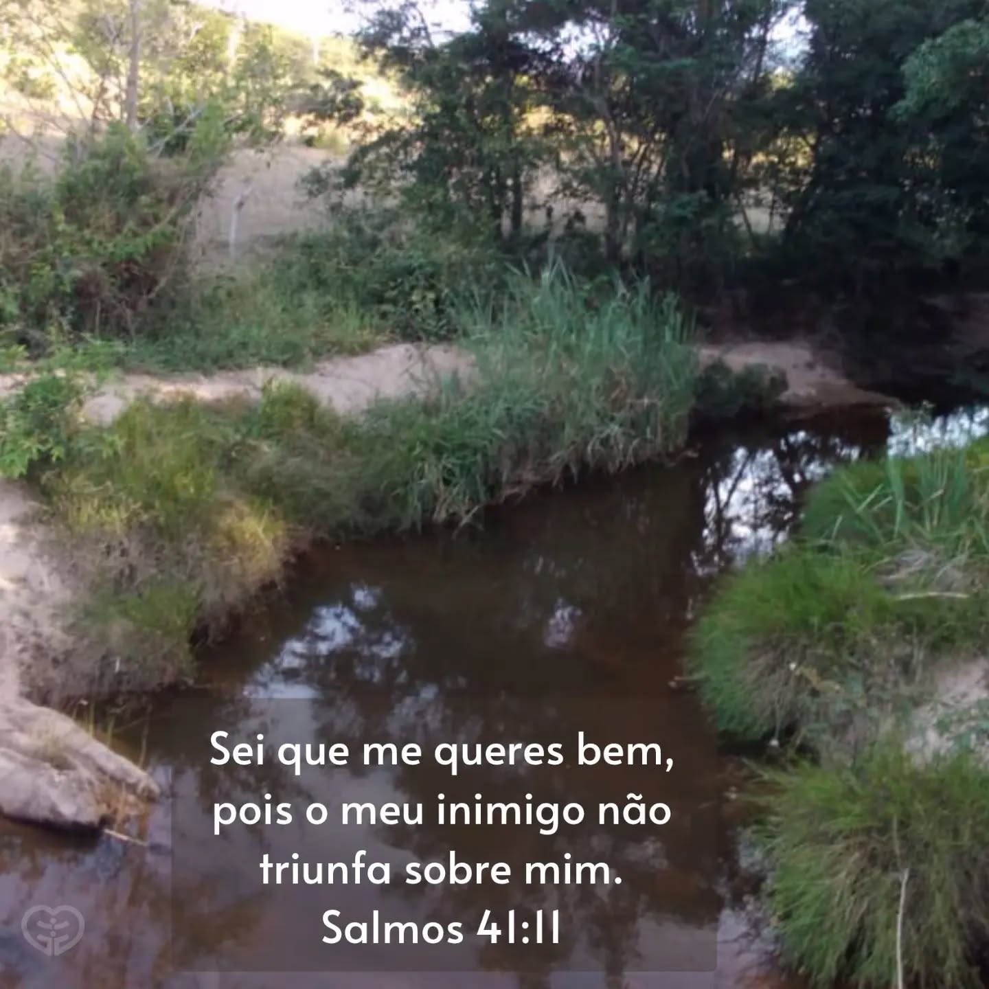 Salmos 41:11