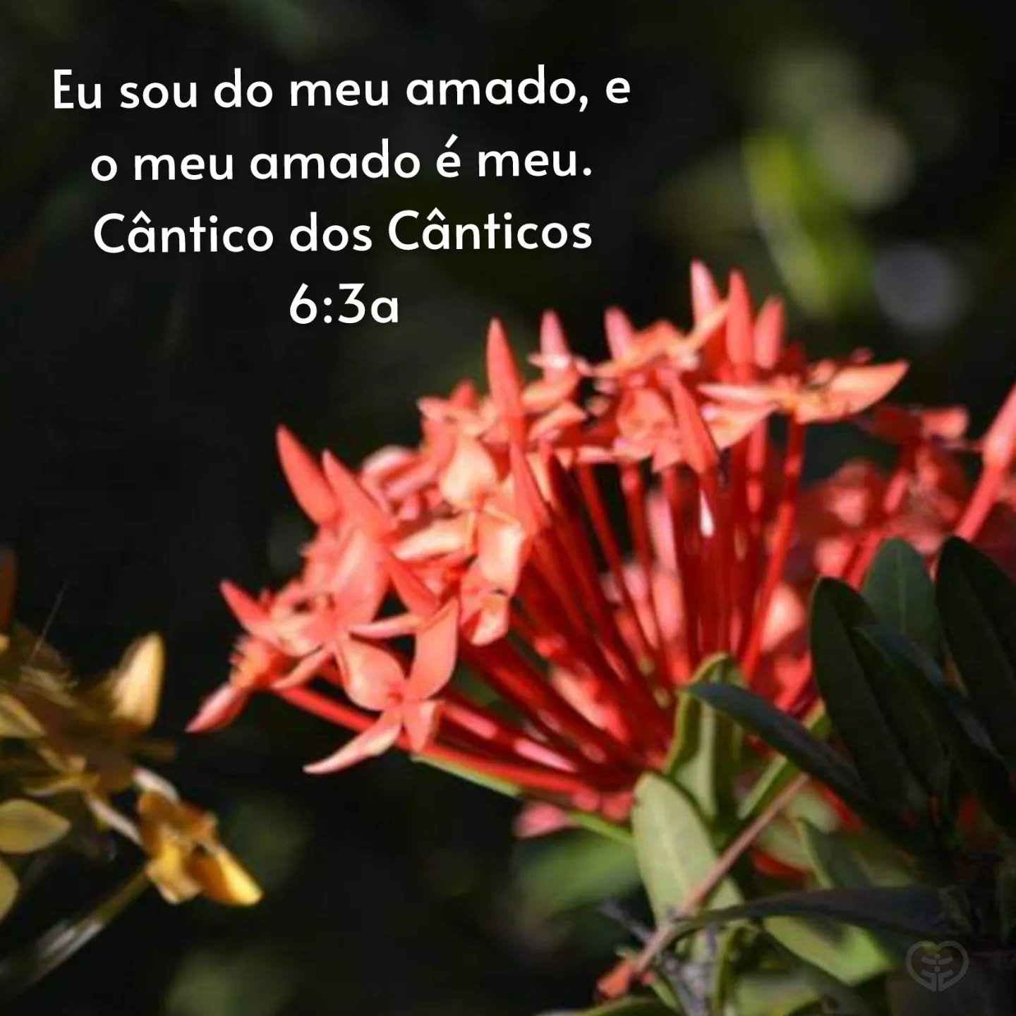 Palavra para 12 de junho de 2022