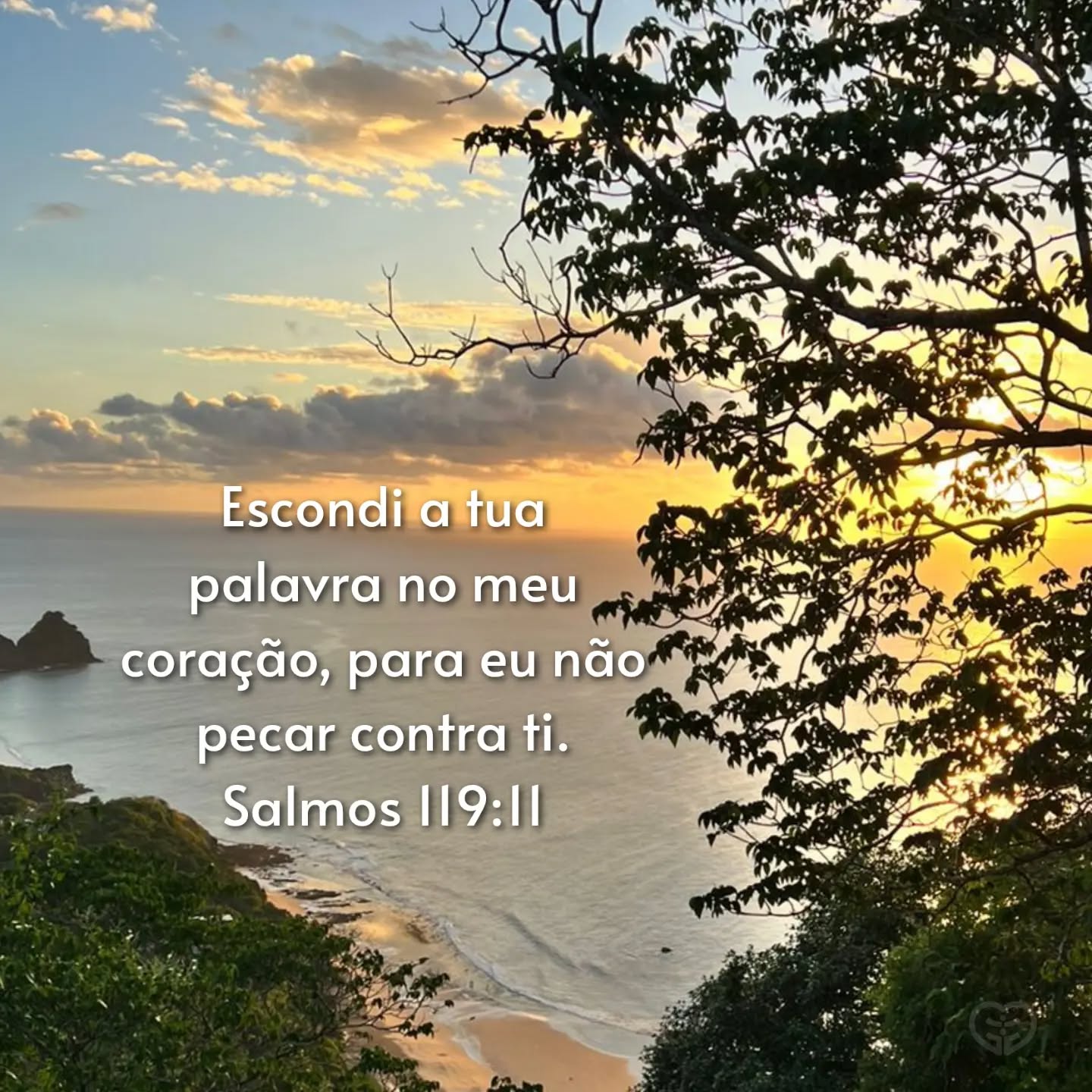 Salmos 119:11